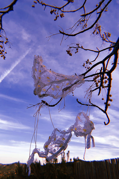 LAST ONE! Anaphora Panty in Sheer Upcycled Vintage Daisy Tulle Mesh