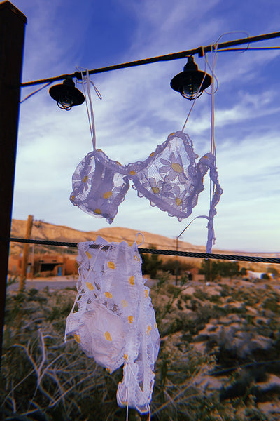 LAST ONE! Anaphora Panty in Sheer Upcycled Vintage Daisy Tulle Mesh