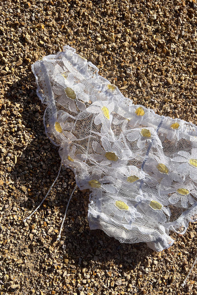 BACK IN STOCK! Anaphora Panty in Sheer Upcycled Vintage Daisy