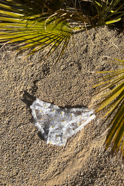 LAST ONE! Anaphora Panty in Sheer Upcycled Vintage Daisy Tulle Mesh