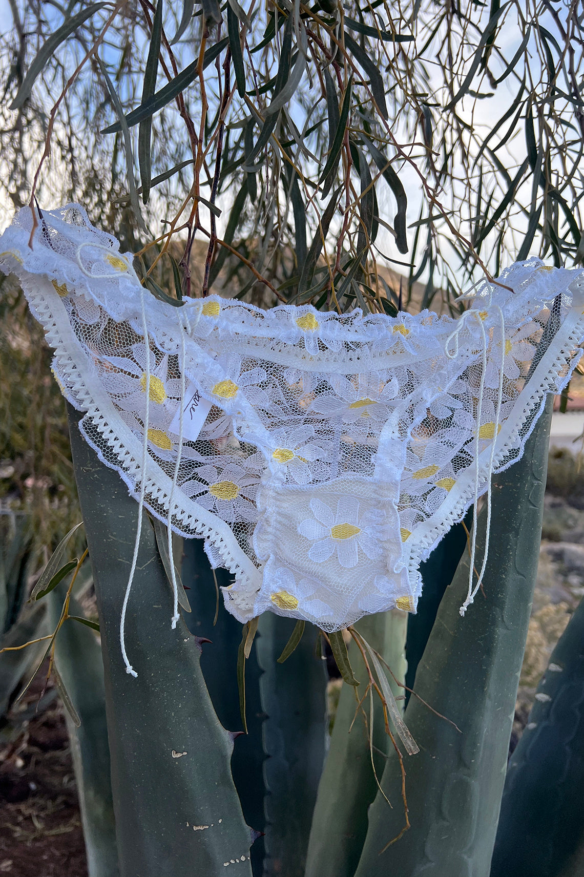 BACK IN STOCK! Anaphora Panty in Sheer Upcycled Vintage Daisy Tulle Mesh